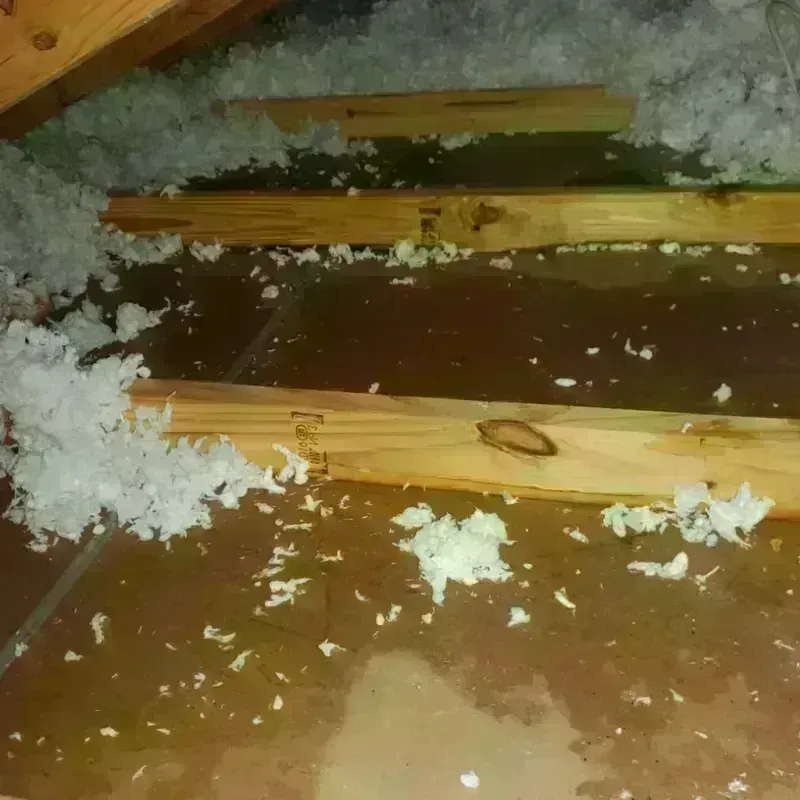 Attic Water Damage in Absarokee, MT