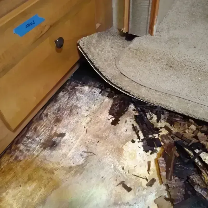 Wood Floor Water Damage in Absarokee, MT